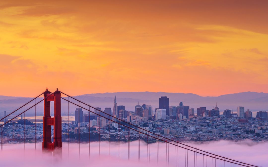 SurgiMab sponsors the conference “Molecular-Guided Surgery” of the SPIE Photonics West meeting – San Francisco, 1st and 2nd feb. 2020.